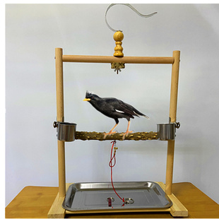 牡丹鹦鹉虎皮站架互动训练解闷鸟架杆笼子椰壳鸟窝玩具秋千游乐场