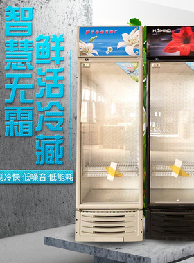 饮料柜商用立式冰柜冰箱玻璃单门超市冷柜啤酒饮品保鲜冷藏展示柜