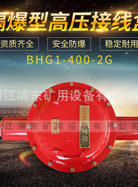 浦东矿用 高压电缆接线盒BHG1-200 315 400 500 600/6,10-2,3G