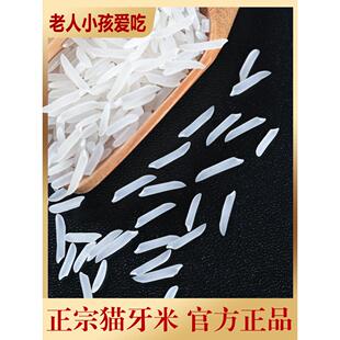 正宗广西猫牙米长粒香2025新米 大米50斤虾田丝苗米官方旗舰店
