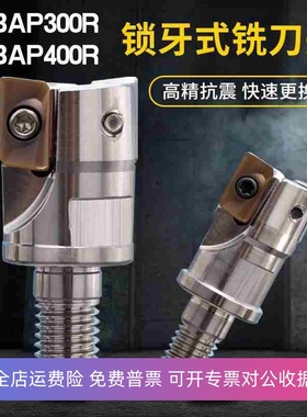 分体式BAP300RBAP400R锁牙式铣刀头1604数控抗震刀杆1135螺纹刀头