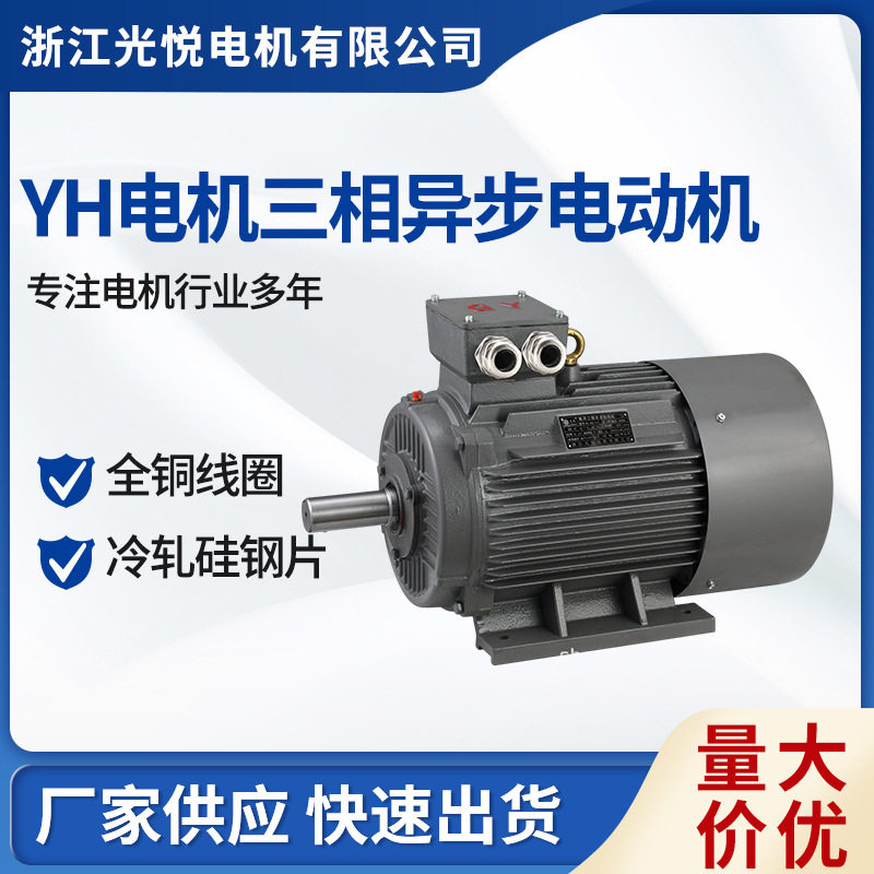 Y-H船用CCS三相异步电动机水泵甲板立卧式0.37KW/75KW/200KW马达