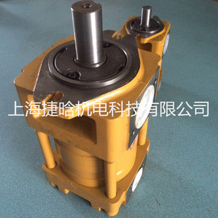 PUMP 低压泵 NT5 单级 直线共轭内啮合齿轮泵 C250F