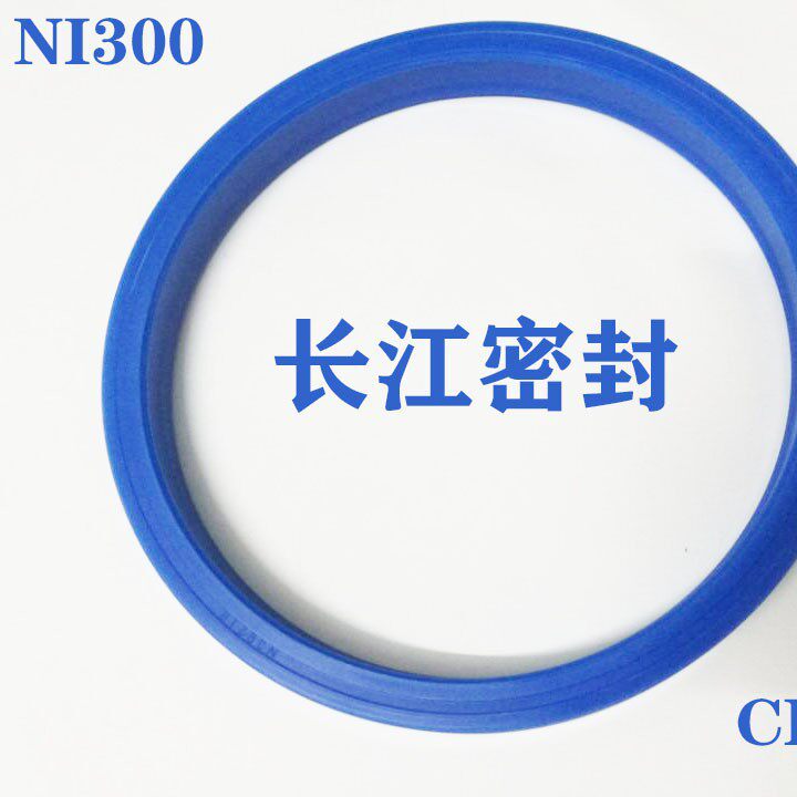 CFWNI300110-125-15100-120-15德国原装正品U形圈油封