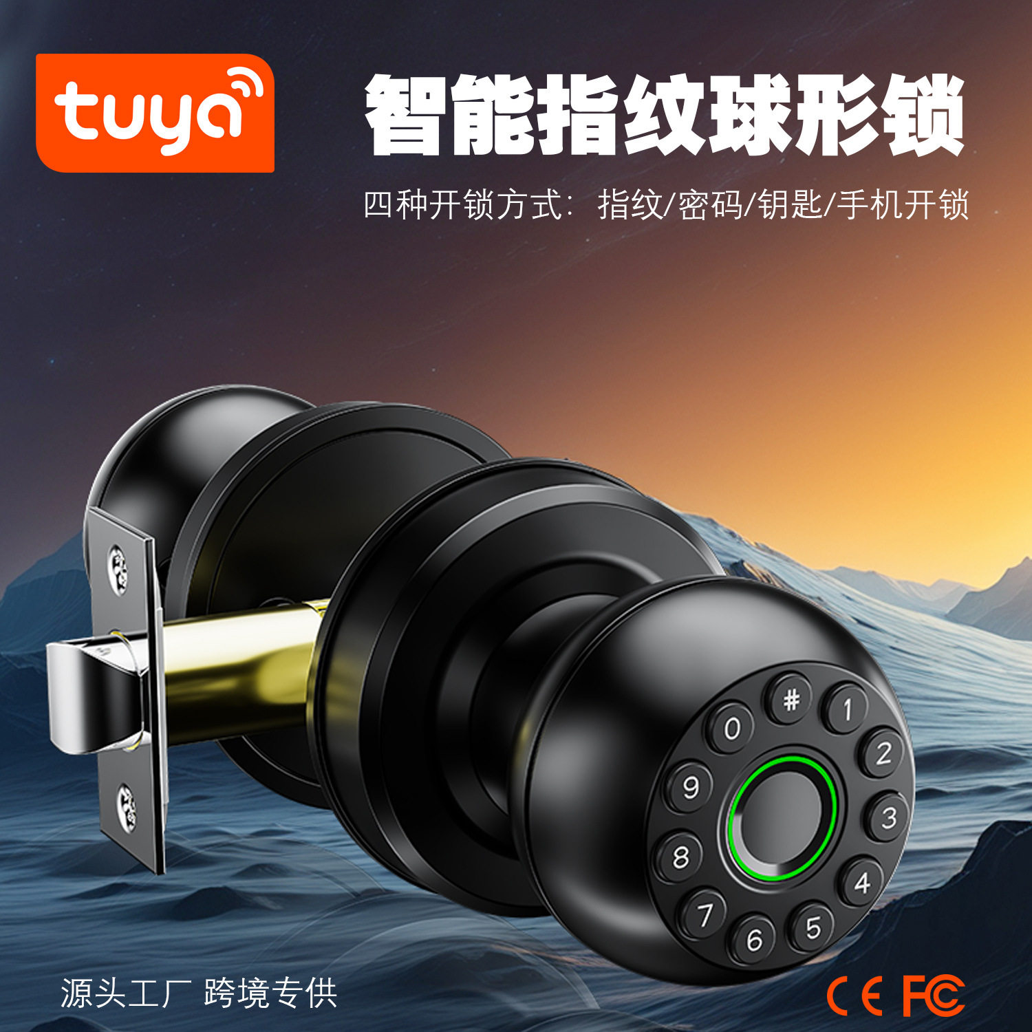 智能球形锁室内木门卧室办公室公寓密码锁涂鸦APP指纹锁CE FCC