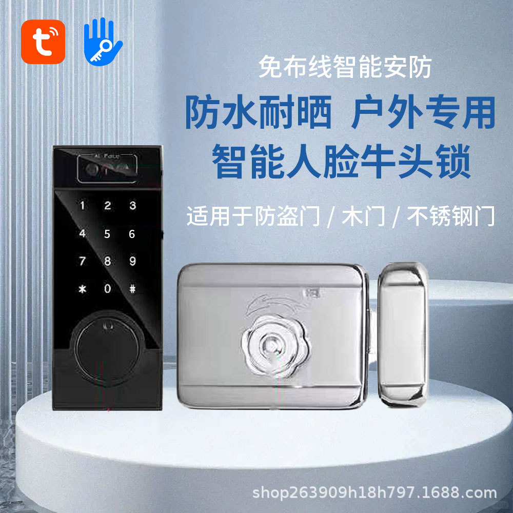 铁门智能锁不锈钢庭院门户外防水防晒电子密码牛头锁跨境指纹锁图片