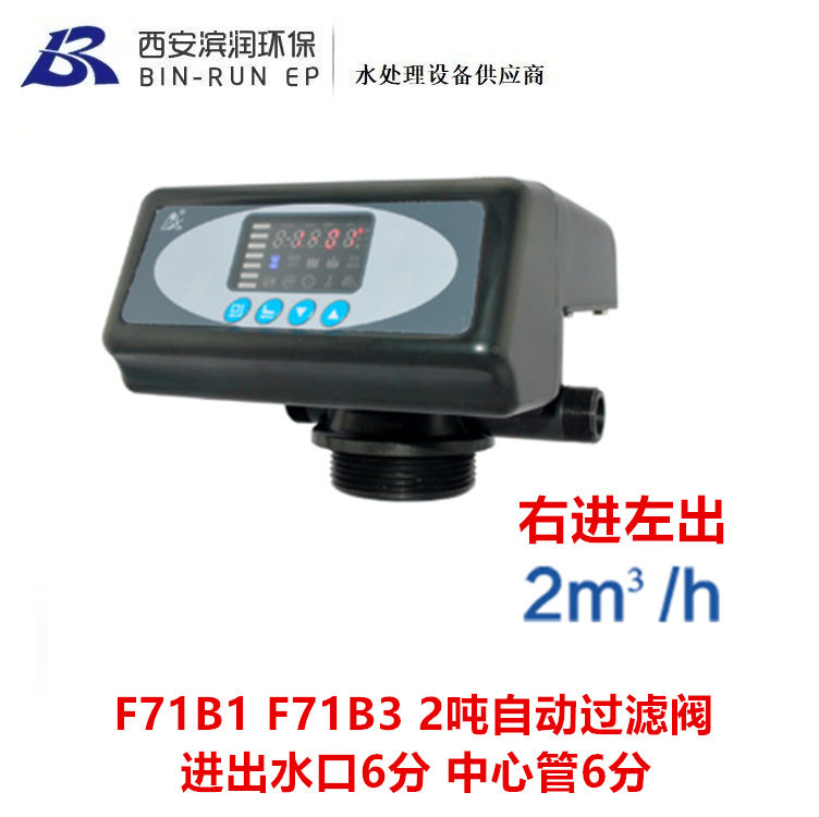 润新2吨自动过滤阀F71B1 F71B2 F71B3进出水排污口6分 中心管6分