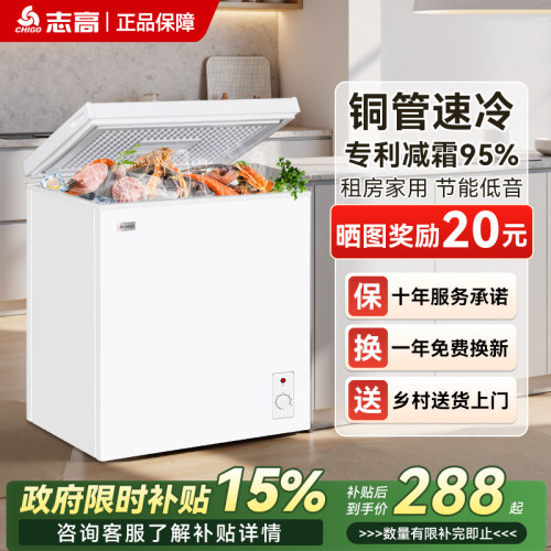 志高一级能效小型冰柜家用冷冻