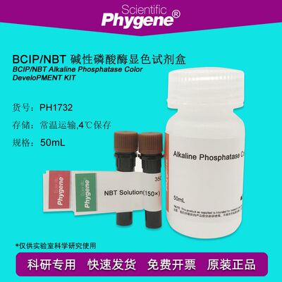 BCIP/NBT碱性磷酸酶显色试剂盒 科研实验 [PH1732 PHYGENE]
