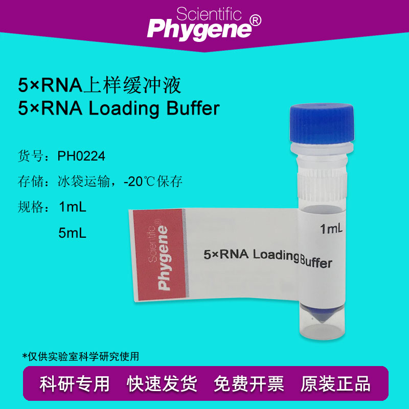 RNA上样缓冲液加样缓冲 5×RNA Loading Buffer [PH0224 PHYGENE]图片