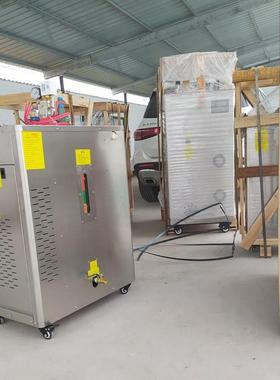 工业商用蒸汽发生器建桥48kw电缆蒸养蒸汽机