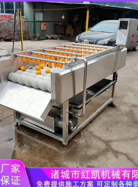 供应平行毛辊清洗机生蚝扇贝毛刷去泥清洗机全自动清洗机