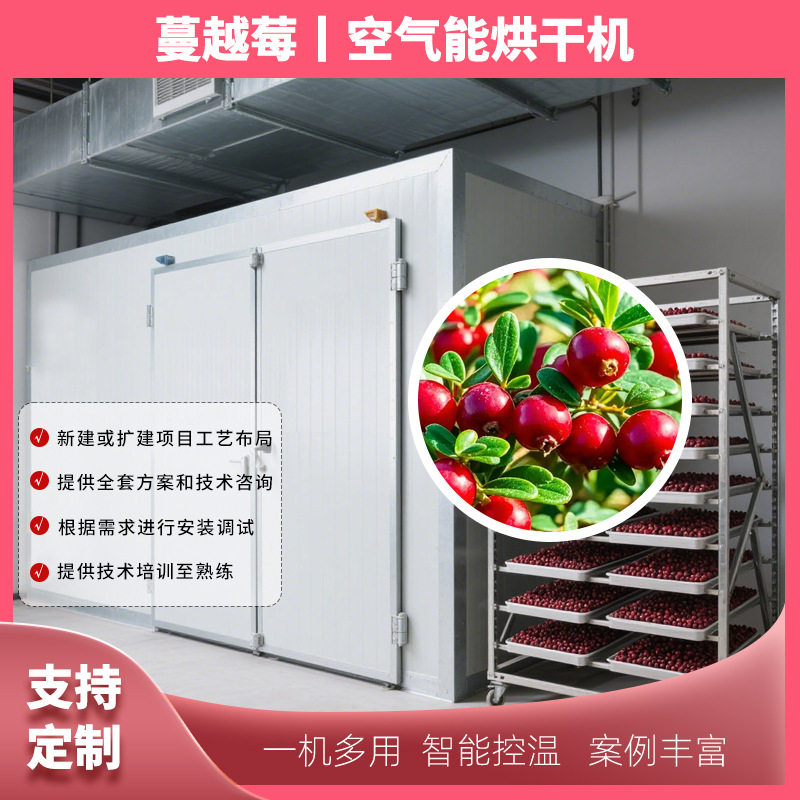空气能蔓越莓烘干机 蔓越莓干蔓越莓蜜饯烘干箱 蔓越橘烘干机设备