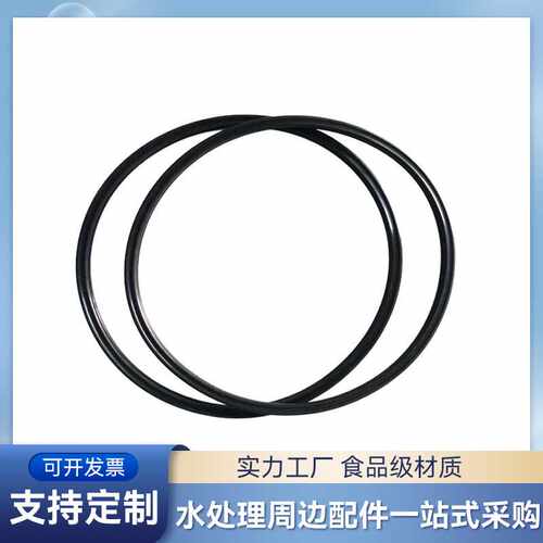 8寸WAVE-CYBER英国唯赛勃WAVE-300P-8膜壳端盖大密封圈头部密封圈