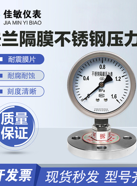 法兰隔膜压力表YTP100BF/MF DN25 DN40 DN50不锈钢耐震膜片压力表