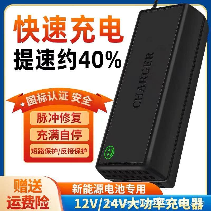电动叉车充电器液压堆高车推高12V24V20A30A观光代步车电瓶充电机