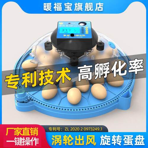高端孵化器小型家用全自动智能小飞碟孵蛋器鹦鹉芦丁鸡鸟蛋孵化箱