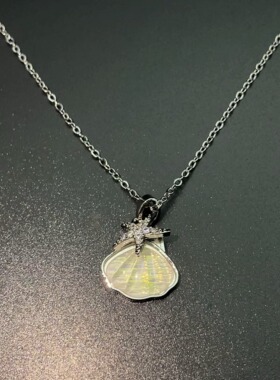 Vintage古着 Star Sea Shell Shadow项链