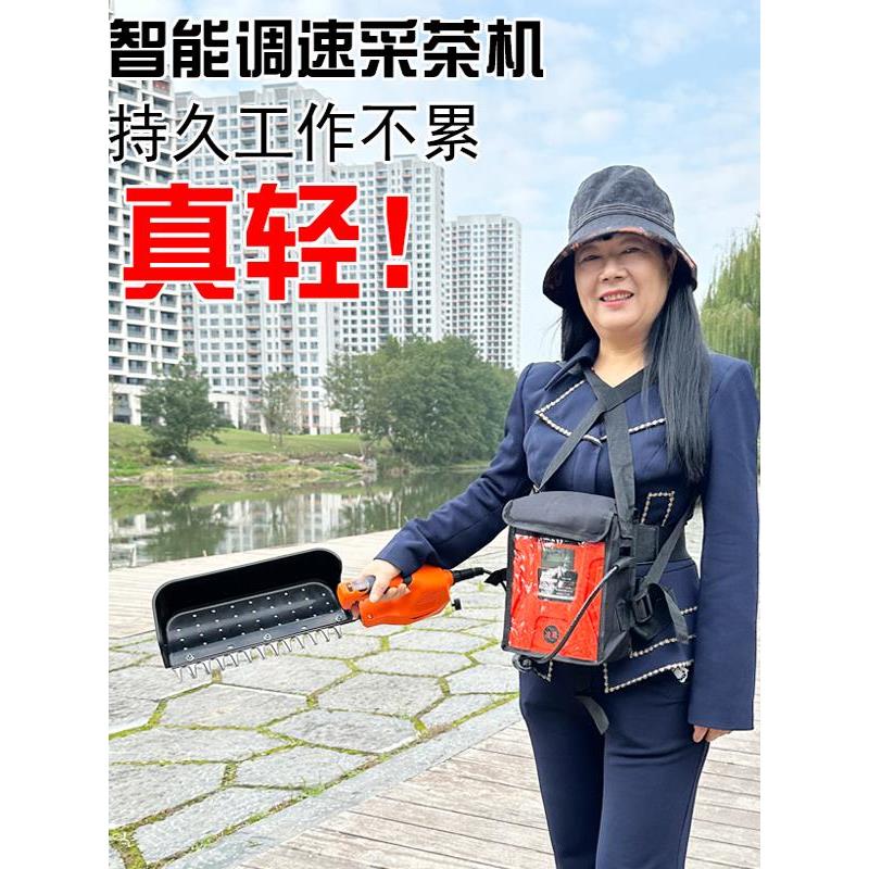 大功率电动绿篱机轻便单手茶叶苗木修剪机小型弧形球形剪枝园林用