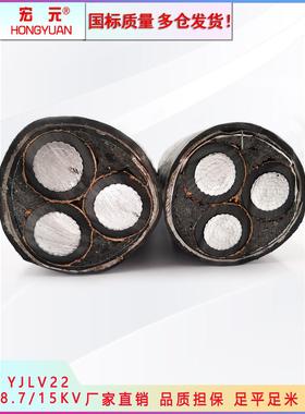 国家标准Yjlv22铝芯10/35Kv高压35-630方形10/35Kv架空地下电缆