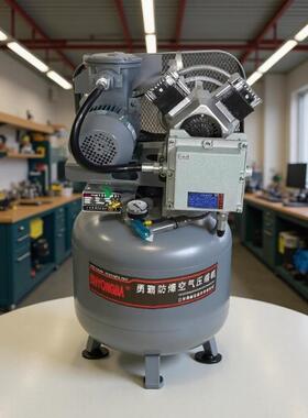 无油防爆空气压缩机 勇霸厂家 隔爆空压机气泵 整机防爆设计 EXYB