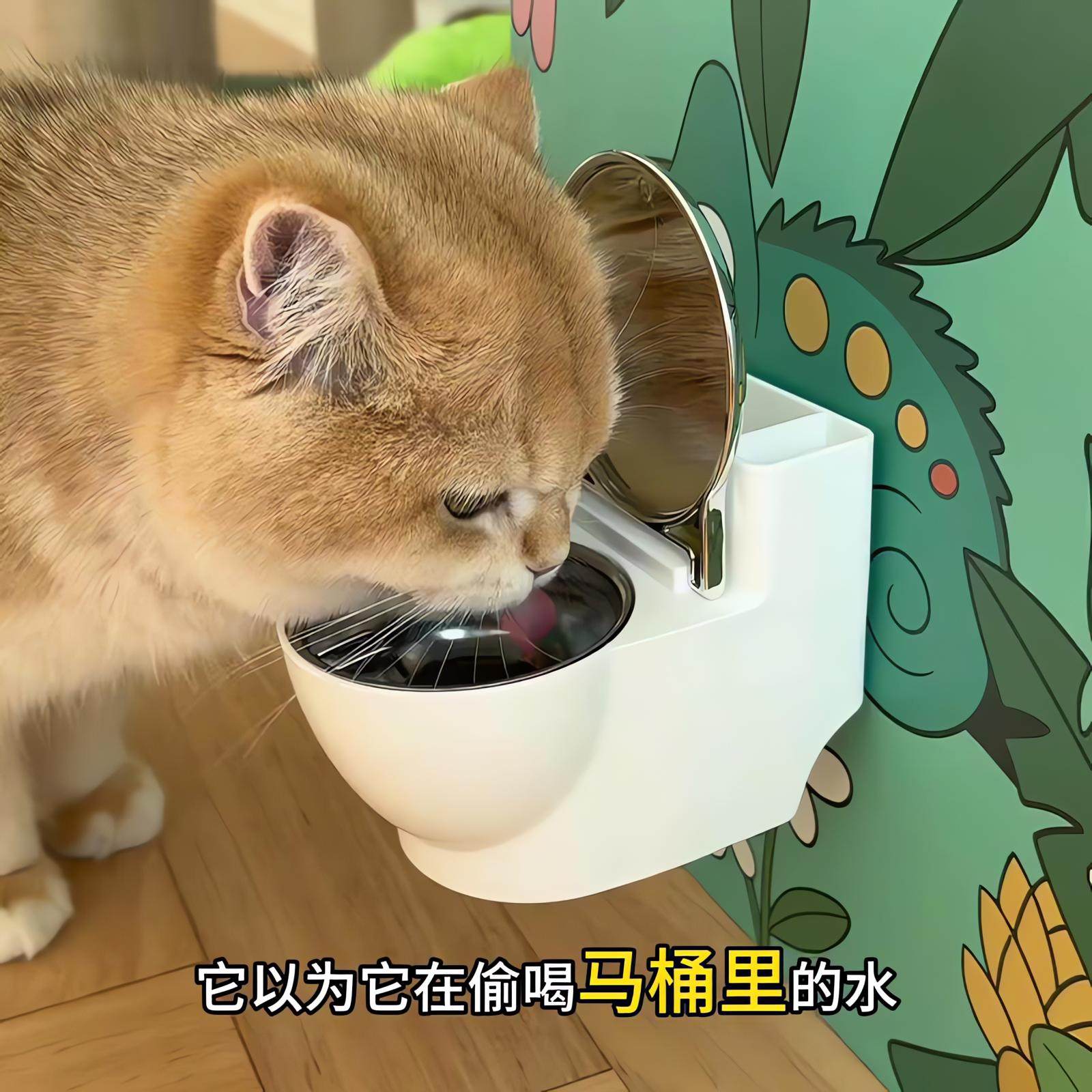 【骗水神器】猫咪喝水碗创意马桶壁挂式水盆喂水器宠物用品防打翻,宠物/宠物食品及用品,饮水器/水壶/水头,淘宝优惠券,粉丝福利购,淘宝优惠卷