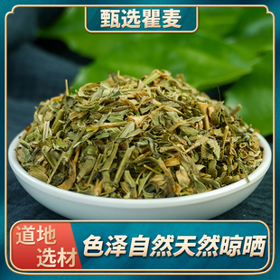 瞿麦中药材500g正品野生瞿麦茶石竹子花巨句山瞿麦竹节草新货泡水