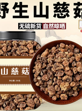 野生山慈菇中药材毛慈菇山茨菇干货冰球子云南无硫新鲜500g包邮