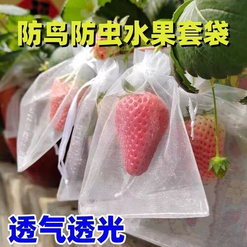水果防鸟防虫尼龙网套袋