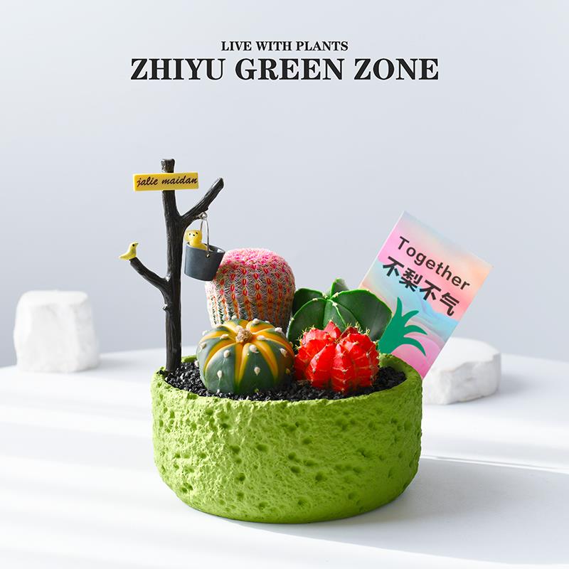 仙人掌盆栽组合多肉植物仙人球办公室内桌面绿植创意解压礼物送礼