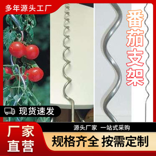 现货供应园艺爬藤支架规格全搭番茄架子价格优惠爬藤架子厂家直销