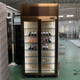 设计轻奢酒窖亚克力酒柜私人高档双门玻璃展示柜不锈钢恒温红酒柜