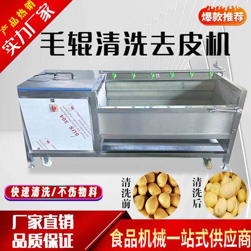 大型毛辊清洗机手剥笋春笋鲜毛笋洗姜机毛刷清洗机