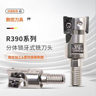 R390锁牙铣刀头深腔加工可装延长杆抗震16 17 20 25 26 30 32 40