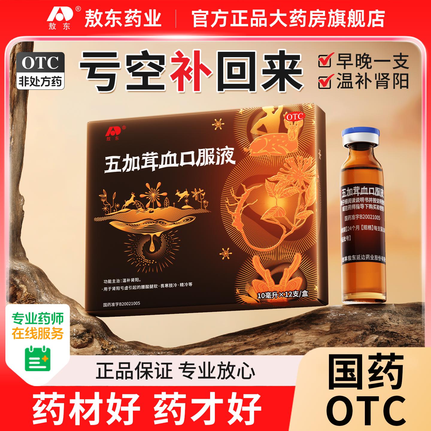 五加鹿茸血补肾强精肾阳虚畏寒腰酸腿软滋补