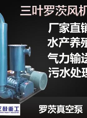 负压真空泵罗茨风机真空上料粉体颗粒气力输送负压吸罗茨真空泵