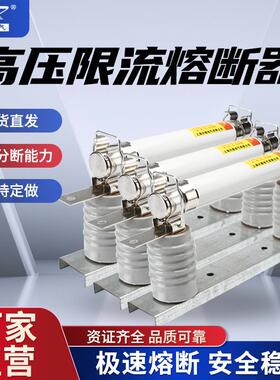 XRNT1-12/160A40A60A100A125A限流熔断器10kv带陶瓷底座