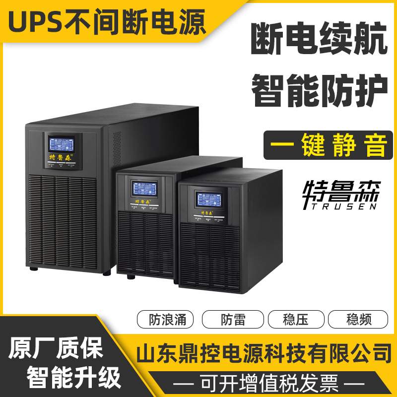特鲁森TLS1103-LN高频UPS不间断电源3KVA2700W长效机外接电池柜包