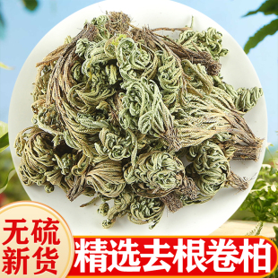 卷柏中药材500g九死还魂草小叶石柏还阳草岩柏草野生干货卷柏包邮