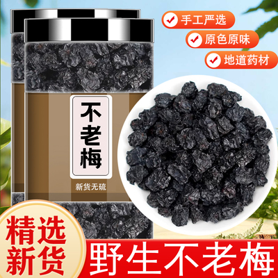 长白山黑果腺肋花楸黑涩石楠