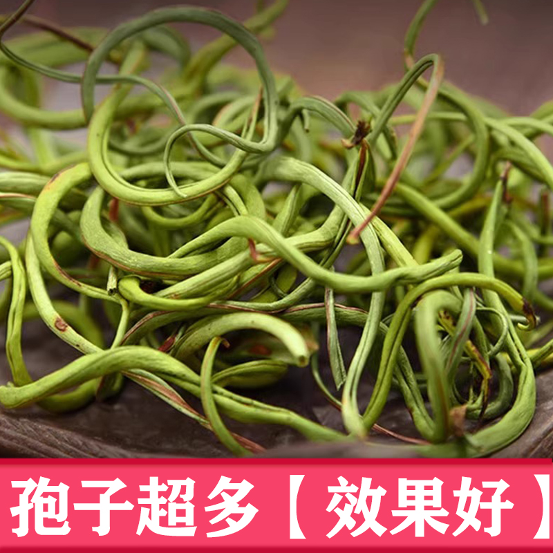 长白山肾经草黄金草野生肾精草