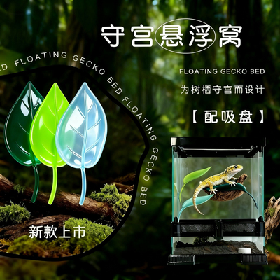 爬宠悬浮躲避窝 睫角守宫姥爷树蛙专用 雨林造景吸盘攀爬仿真植物