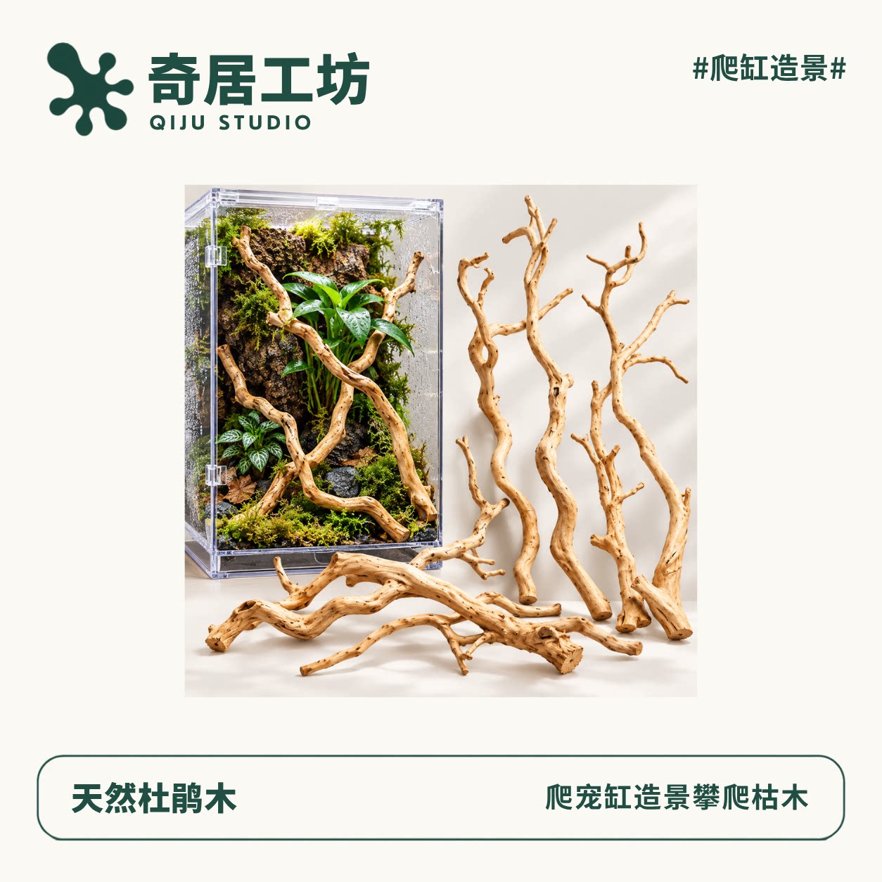 爬箱雨林缸造景树枝睫角守宫蜥蜴树蛙攀爬树干天然杜鹃根摆件