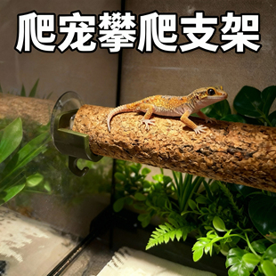 爬宠攀爬软木棒支架睫角守宫吸盘悬浮平台躲避屋饲养缸造景