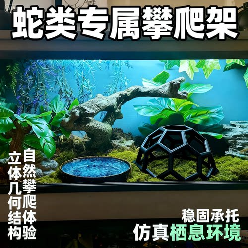 爬宠攀爬支架蛇守宫蜥蜴玩具