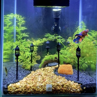 砾石分离器鱼缸造景装饰摆件饲养缸造景鱼虾乌龟躲避屋