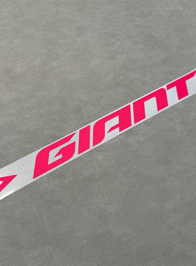 适用25新款Giant捷安特TCR ADV第十代公路自行车贴纸logo改色贴