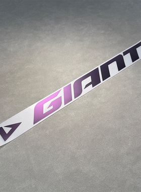 适用捷安特giant revolt f系列公路车架原厂logo改色覆盖贴纸防水