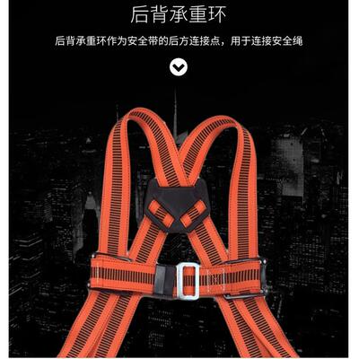 海沨特LQYP00C3半式区域限制国ZPY标安全坠带耐磨身施工落防护电