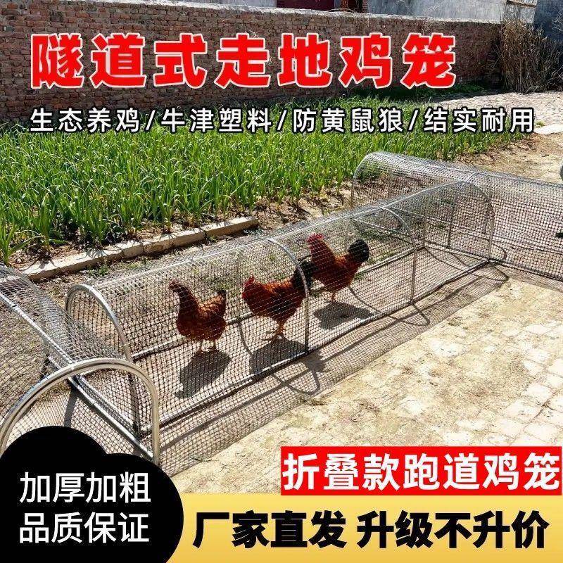 走地鸡笼养鸡隧道跑笼农场庭院户外鸡笼可折叠折叠式溜达养殖笼图片